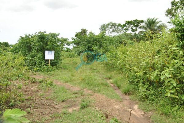 Farmland (6000 acres of farmland)