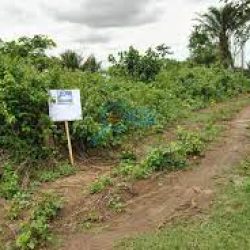 Farmland (568 acres of farmland)