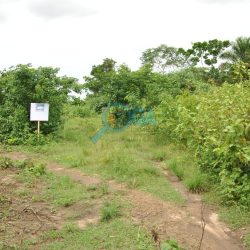 Farmland (6000 acres of farmland)